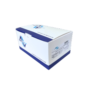 Lera Check Strep A Ag Hızlı Test Kaseti – 25’li Paket